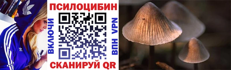 что такое   МЕГА tor  Галлюциногенные грибы Magic Shrooms  Спас-Деменск 